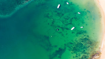 Green Cove