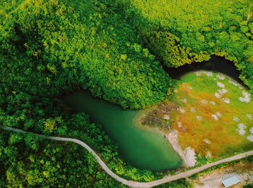 Greenery