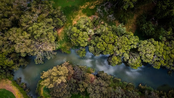 Gwelup Wetlands