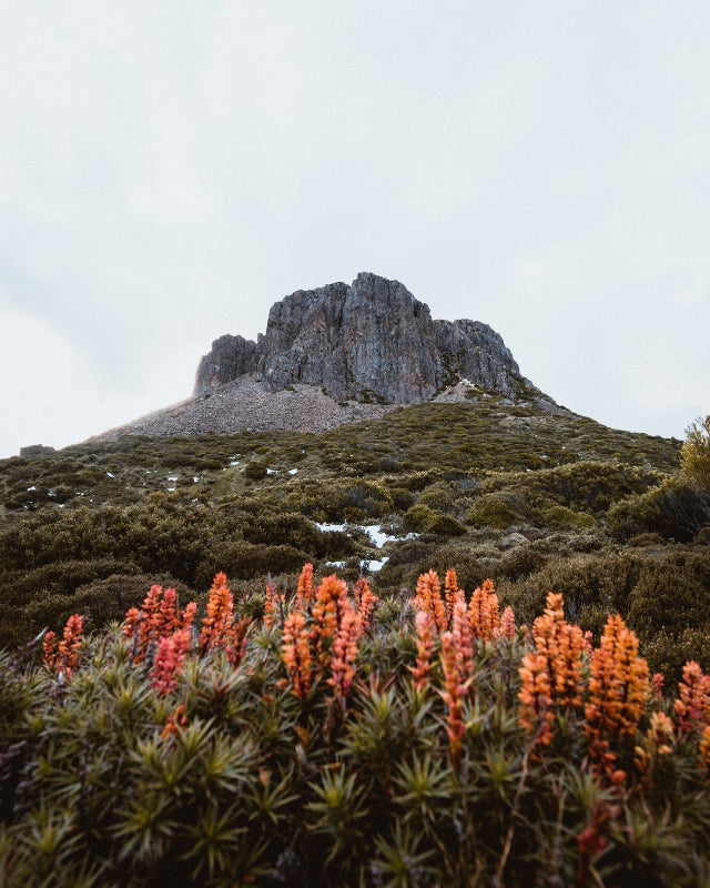Hikers Paradise