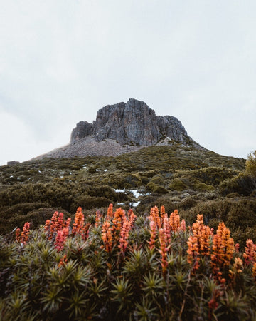 Hikers Paradise