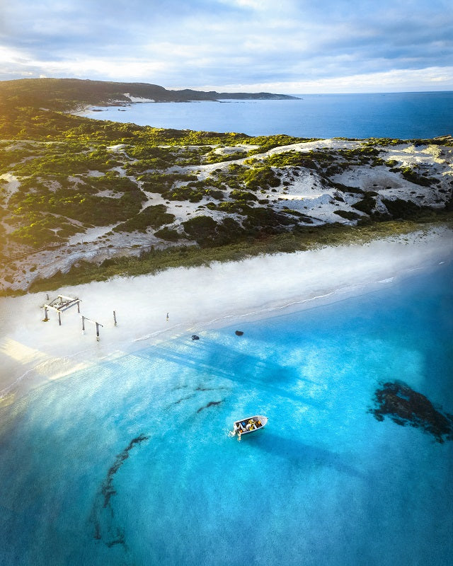 Hamelin Bay Stingrays