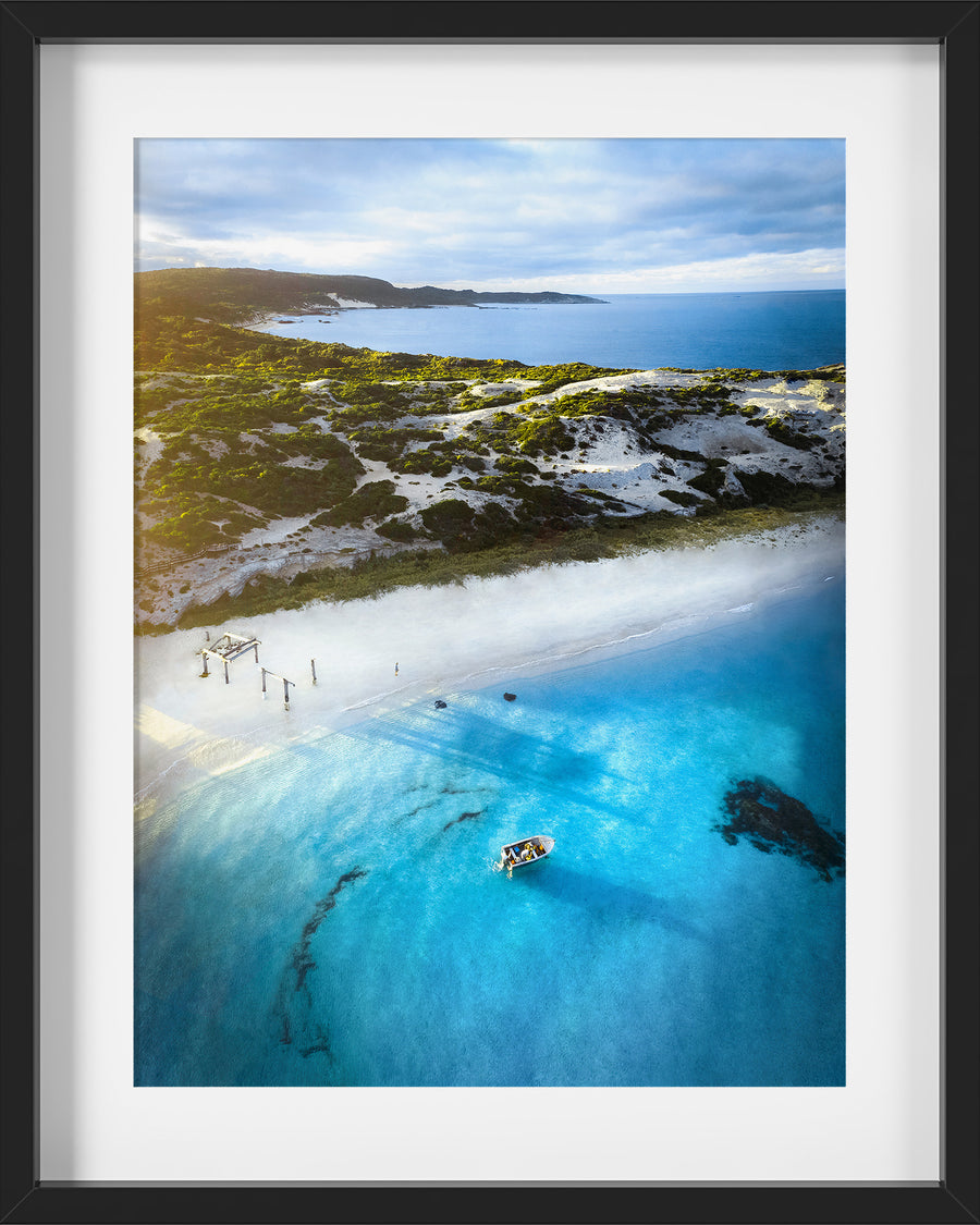 Hamelin Bay Stingrays