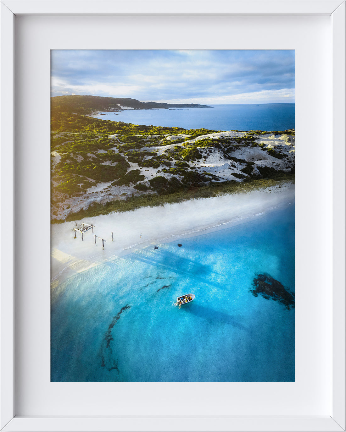 Hamelin Bay Stingrays