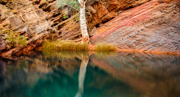Hamersley Gorge