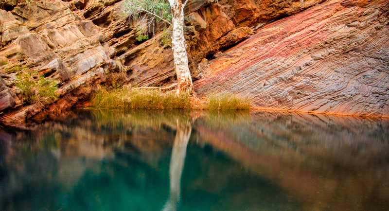 Hamersley Gorge