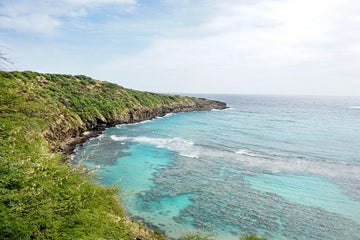 Hanauma Bay I