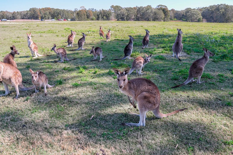Hanging out with Locals