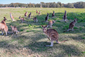 Hanging out with Locals