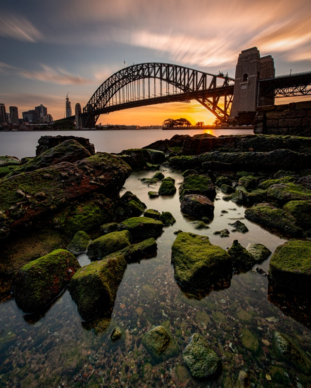 Harbour Sunsets