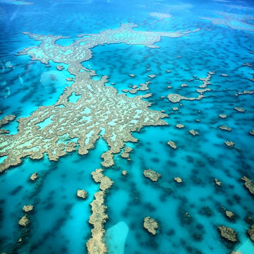 Hardy Reef