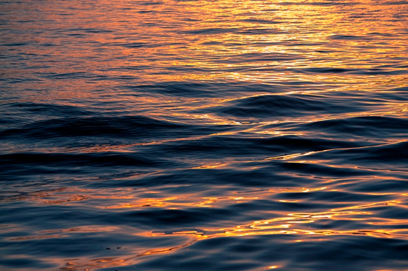 High Tide