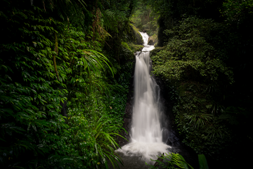 Hinterland rain forest Waterfall