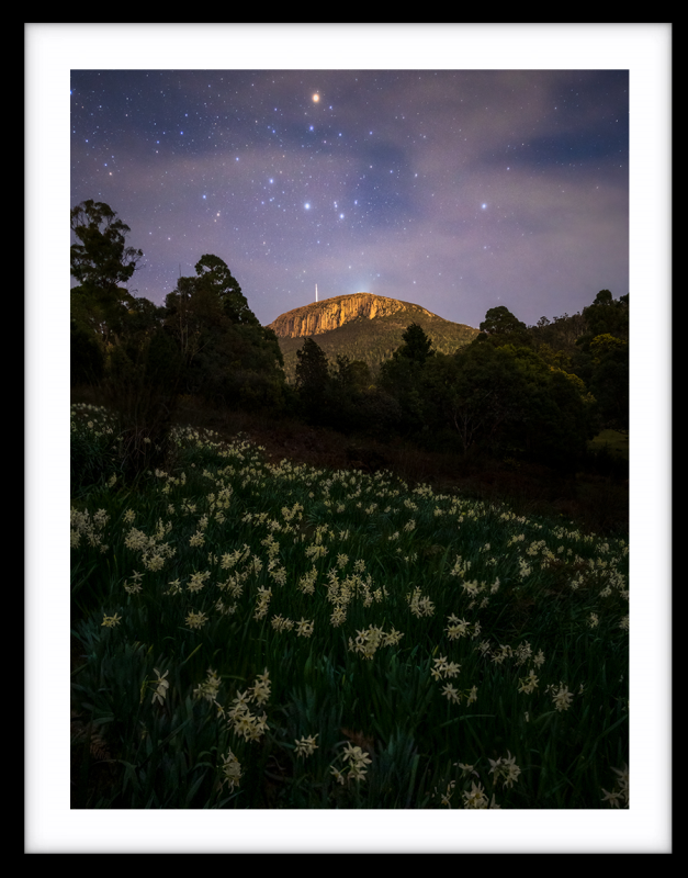 Hobart's Backyard