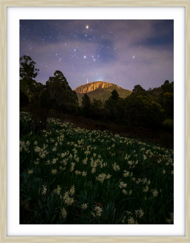 Hobart's Backyard