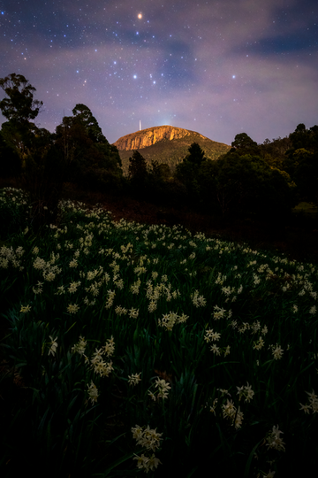 Hobart's Backyard