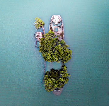 Homebush Shipwreck