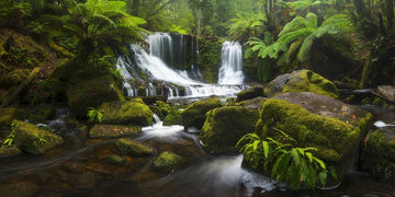 Horseshoe Falls TAS