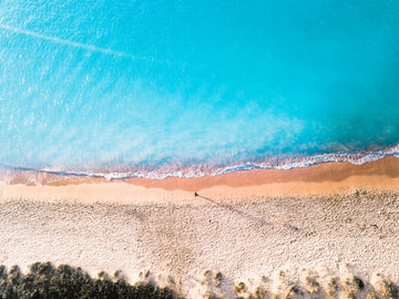 Horseshoe Beach Topdown