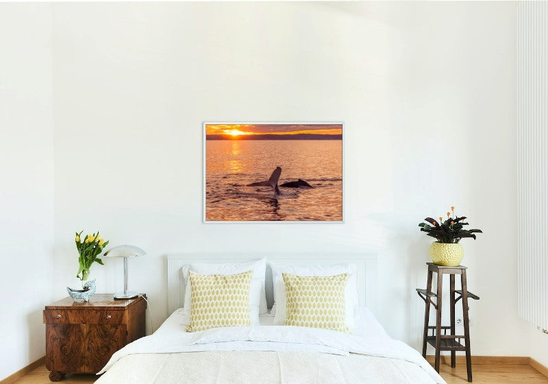 Humpback Sunset