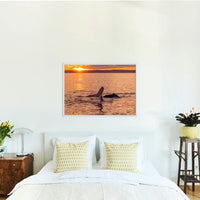 Humpback Sunset
