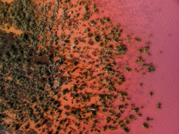 Hutt Lagoon Pink Lake 02