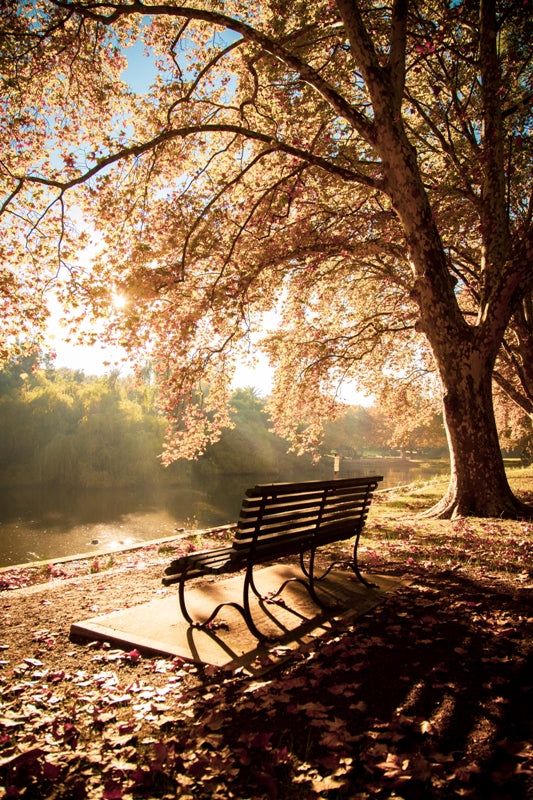 Hyde park