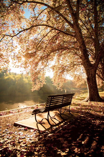Hyde park