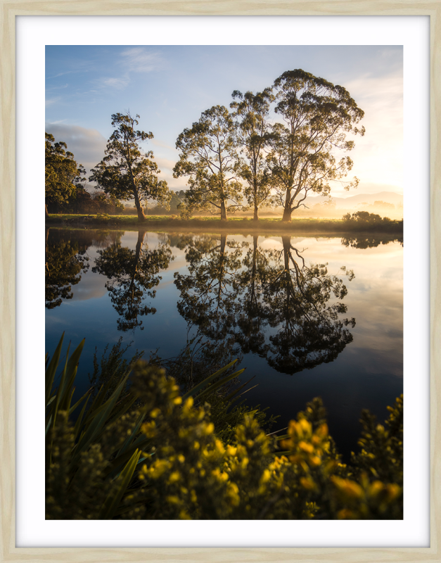 HUON GLOW