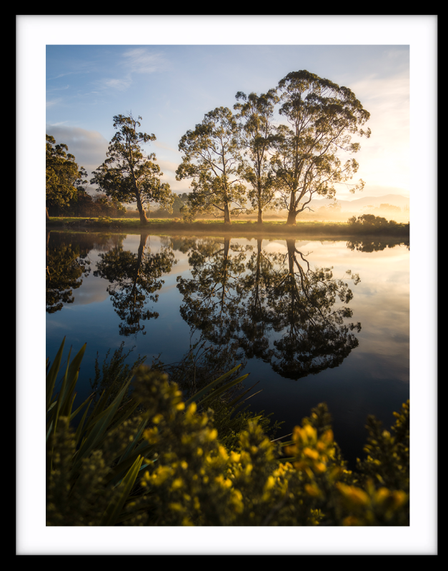 HUON GLOW