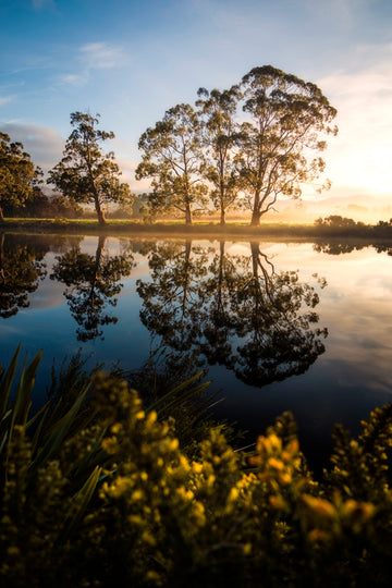 HUON GLOW