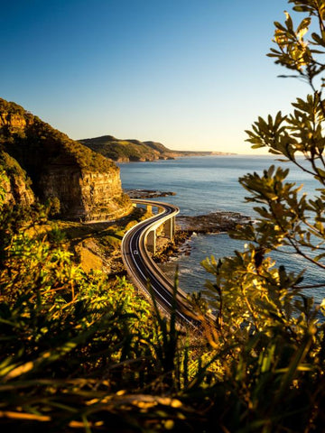 Sea Cliff