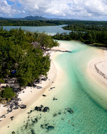 ISLAND VIBES