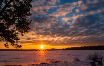 Icy Sunrise