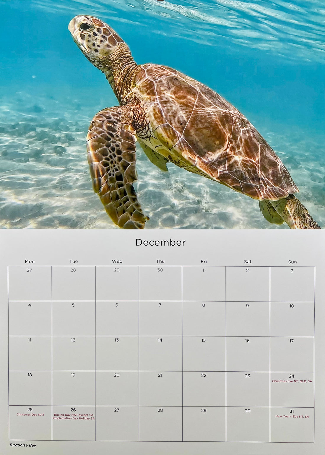 2023 Calendar - Kate OConnor