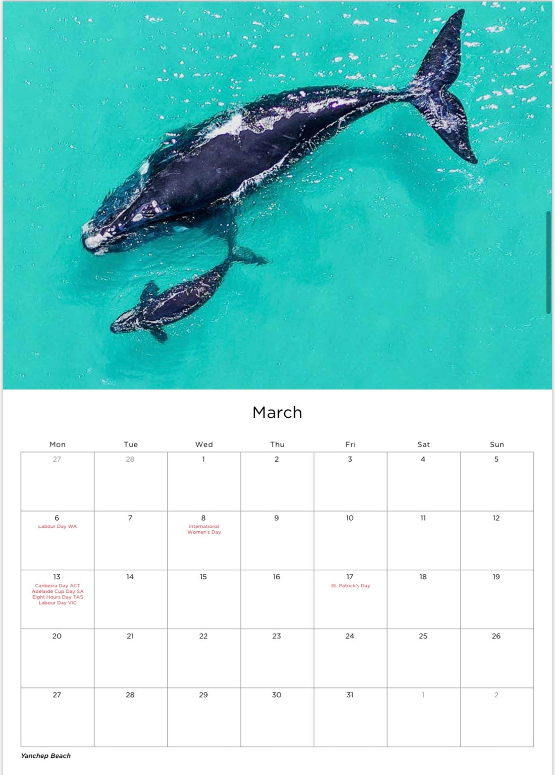 2023 Calendar - Kate OConnor