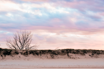 In The Dunes