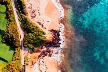 Iron Shores
