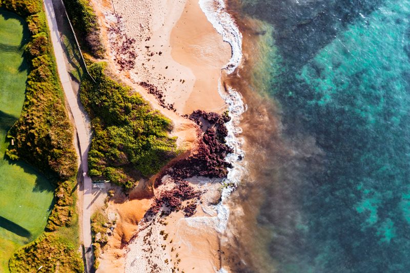 Iron Shores