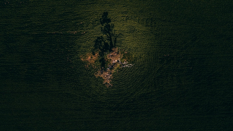 Isolation