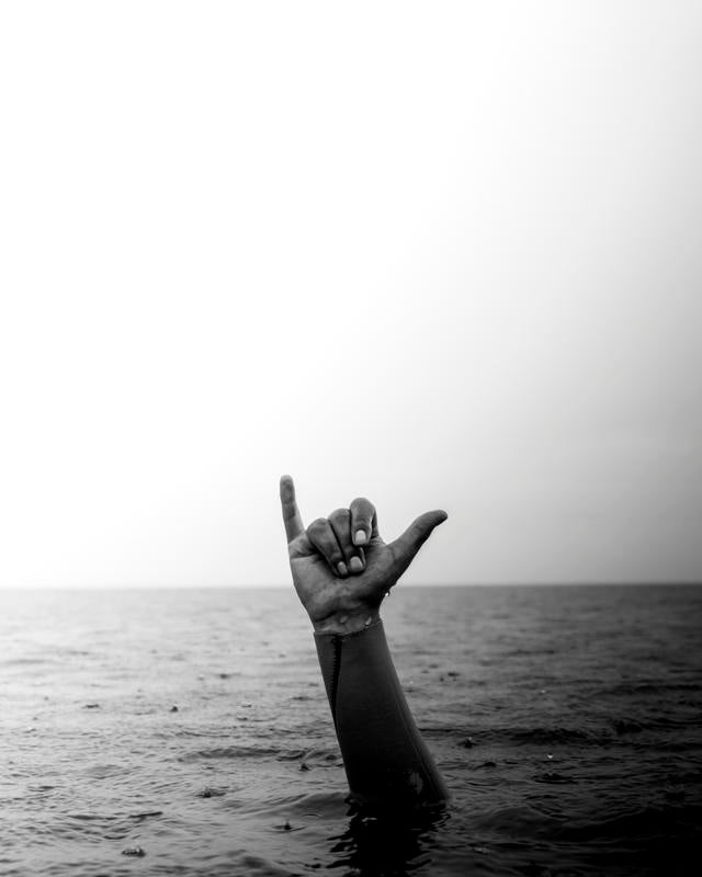 Shaka Black n White - Surf’s Up