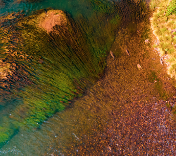 Ivanhoe Crossing Crocs