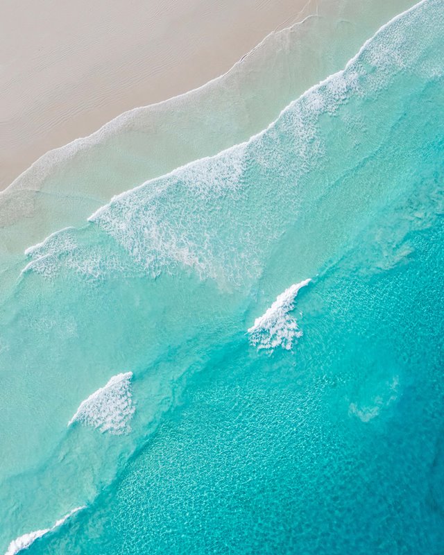Blossoms Waves