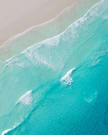 Blossoms Waves