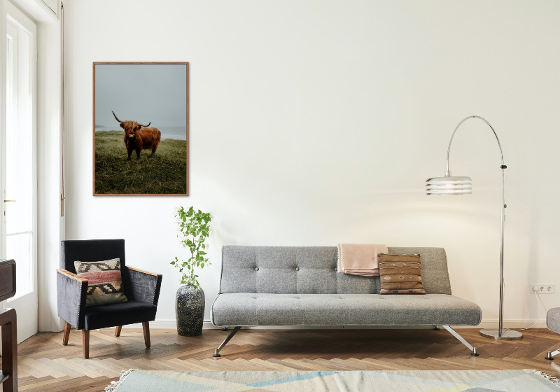 The Scottish Highland Coo