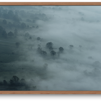 Mist in the Valley