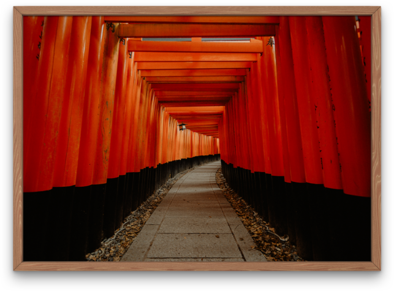 The Red Gates of Japan
