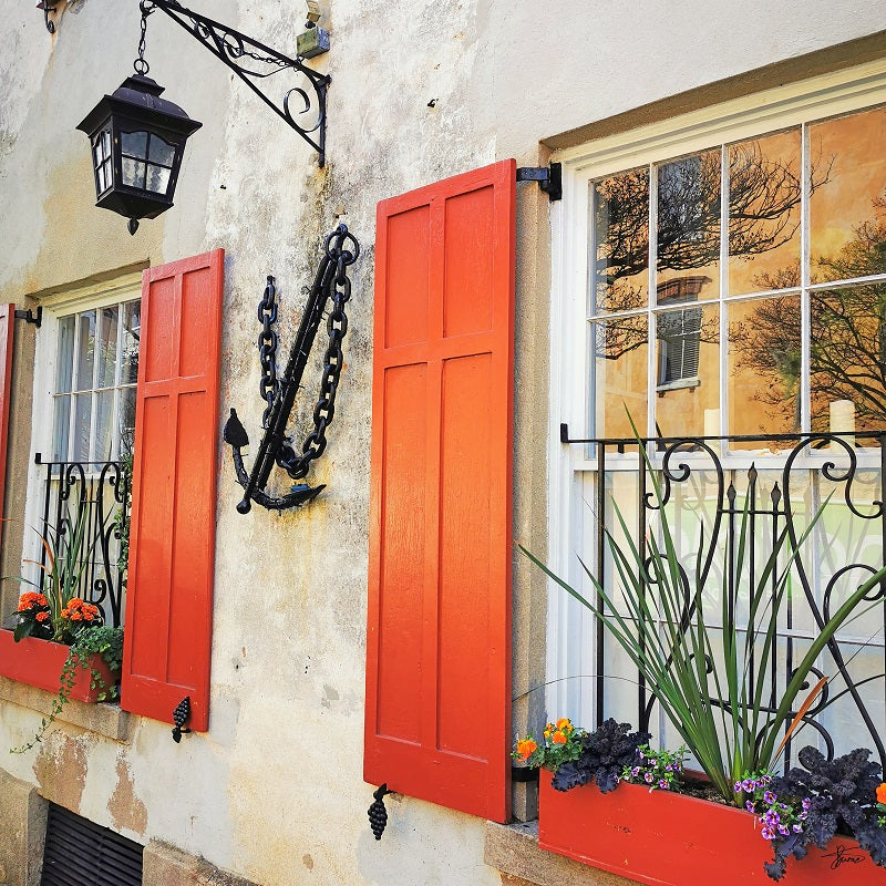 Charleston Windows