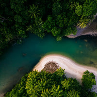 Cape Tribulation
