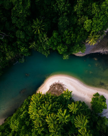 Cape Tribulation